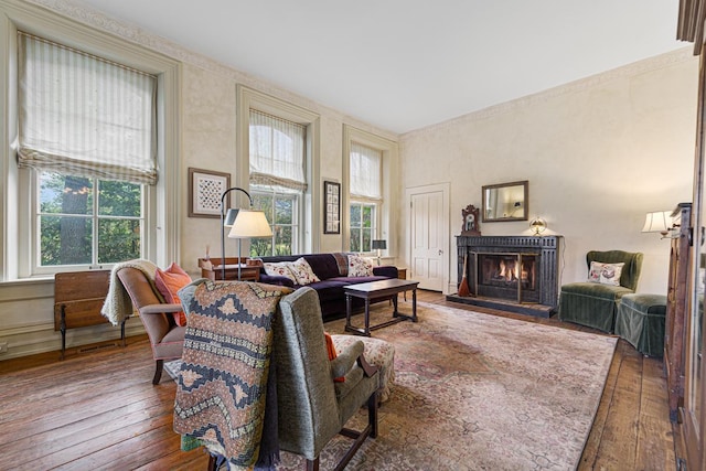 living area featuring a warm lit fireplace, wood finished floors, and a wealth of natural light