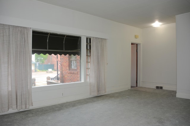 empty room featuring carpet floors