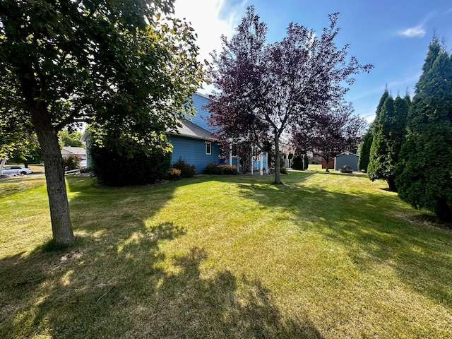 view of yard