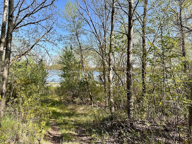 Listing photo 3 for XXX US-71, Little Sauk Twp MN 56378