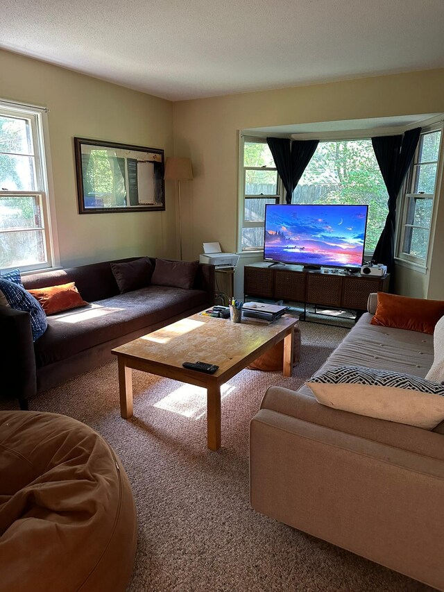 carpeted living room featuring a wealth of natural light and a textured ceiling