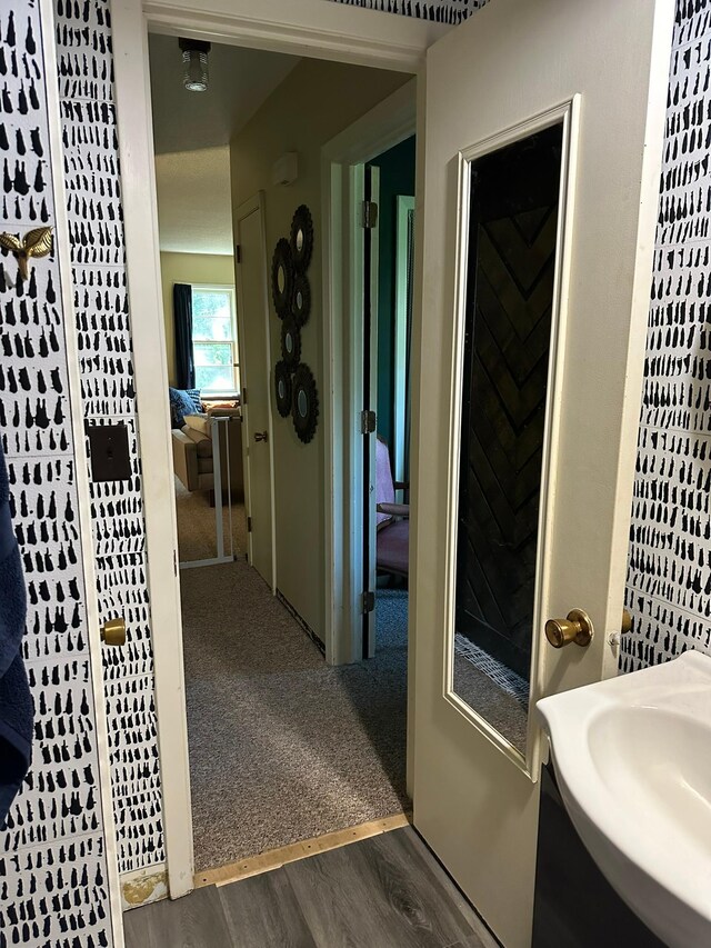 bathroom with sink and hardwood / wood-style flooring