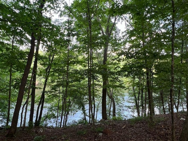 LOTS9AND10 538th, Red Cedar Twp WI, 54751 land for sale