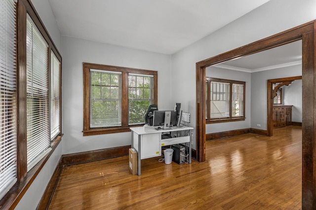 office area with wood-type flooring and crown molding