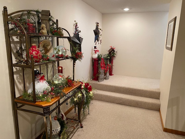 hallway featuring carpet