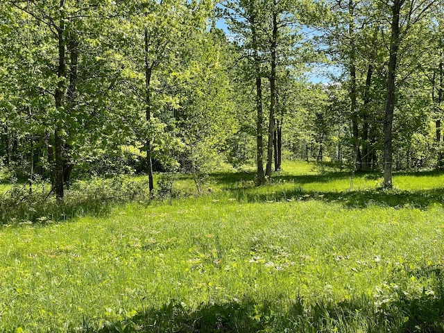 6281 24th Ave NW, Turtle Lake Twp, MN 56484 - photo 31