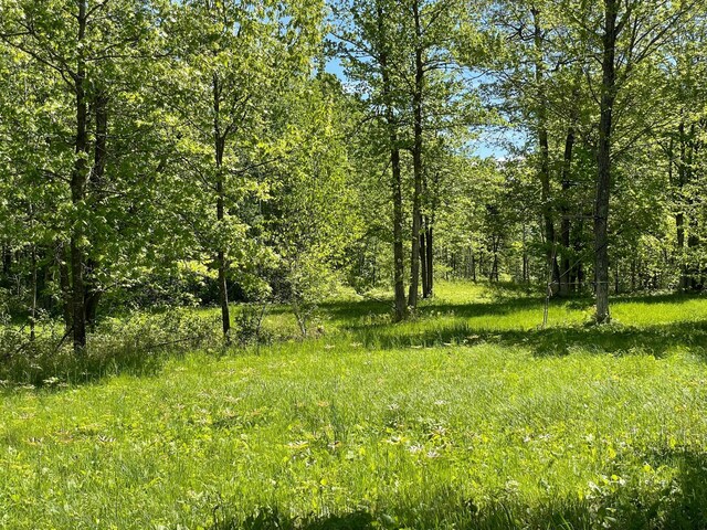 6281 24th Ave NW, Turtle Lake Twp, MN 56484 - photo 37