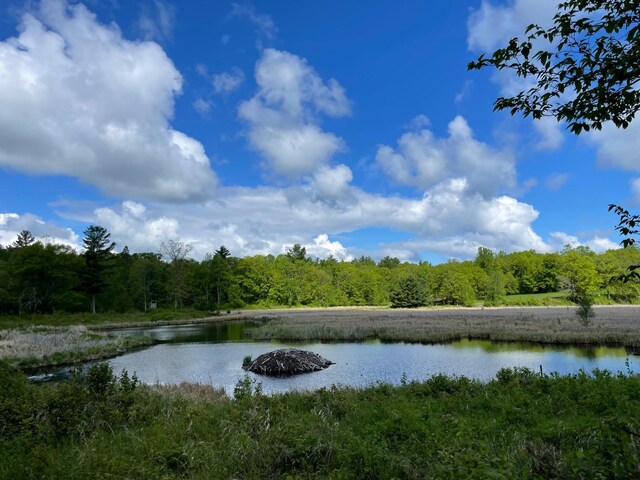 6281 24th Ave NW, Turtle Lake Twp, MN 56484 - photo 40