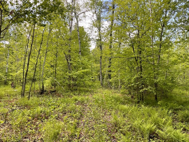 6281 24th Ave NW, Turtle Lake Twp, MN 56484 - photo 41