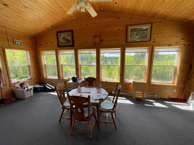 6281 24th Ave NW, Turtle Lake Twp, MN 56484 - photo 46