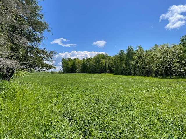 6281 24th Ave NW, Turtle Lake Twp, MN 56484 - photo 67