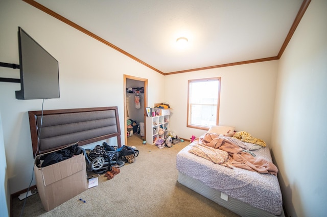 carpeted bedroom with a spacious closet, lofted ceiling, ornamental molding, and a closet