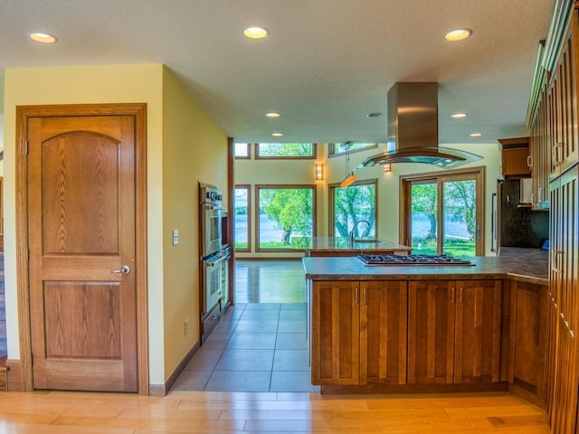 kitchen with sink, island exhaust hood, stainless steel appliances, and light wood-type flooring