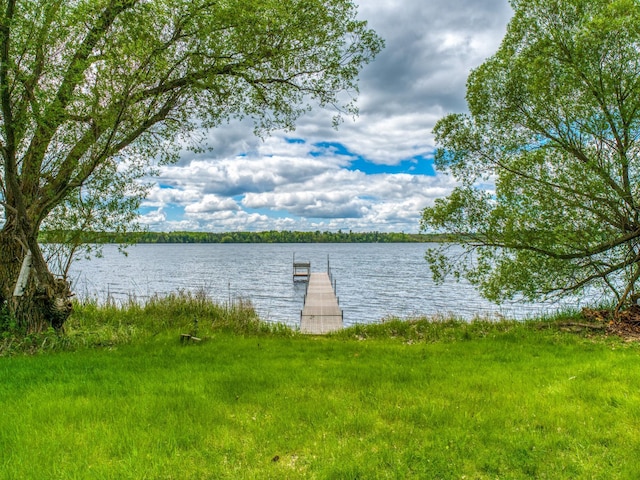 water view featuring a boat dock