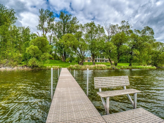 dock area with a water view