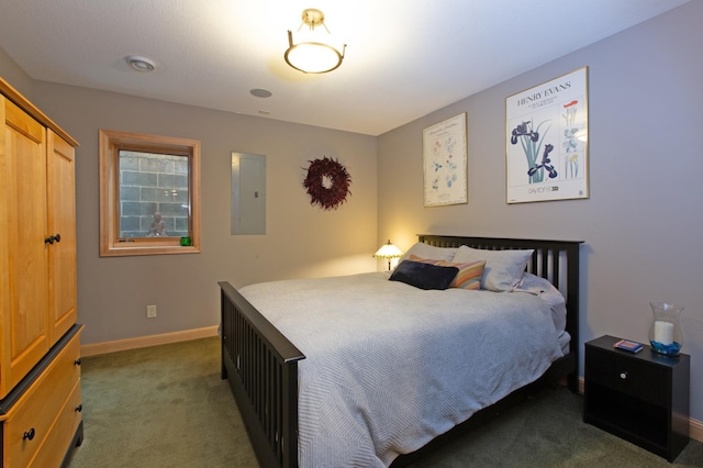 bedroom with electric panel, a closet, and dark colored carpet