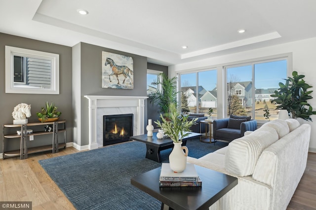 living room with hardwood / wood-style floors, a tray ceiling, and a fireplace