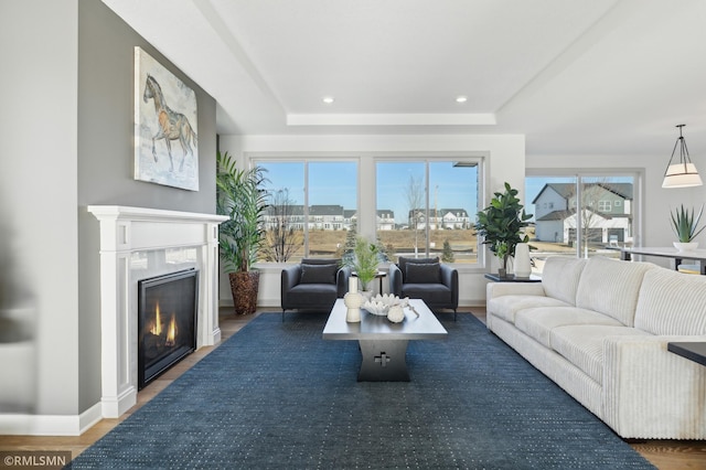 living room with dark hardwood / wood-style floors and a tray ceiling