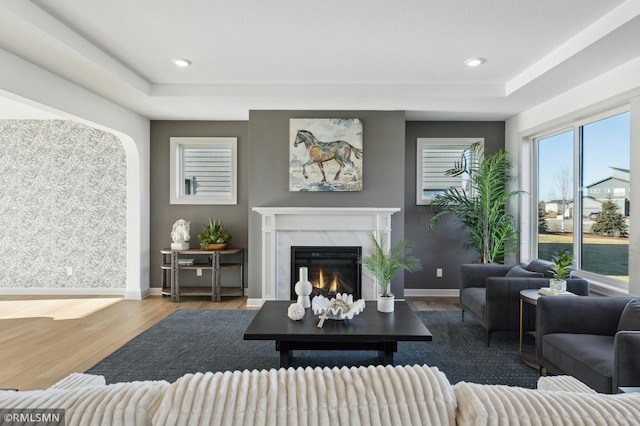 living room with wood-type flooring and a high end fireplace