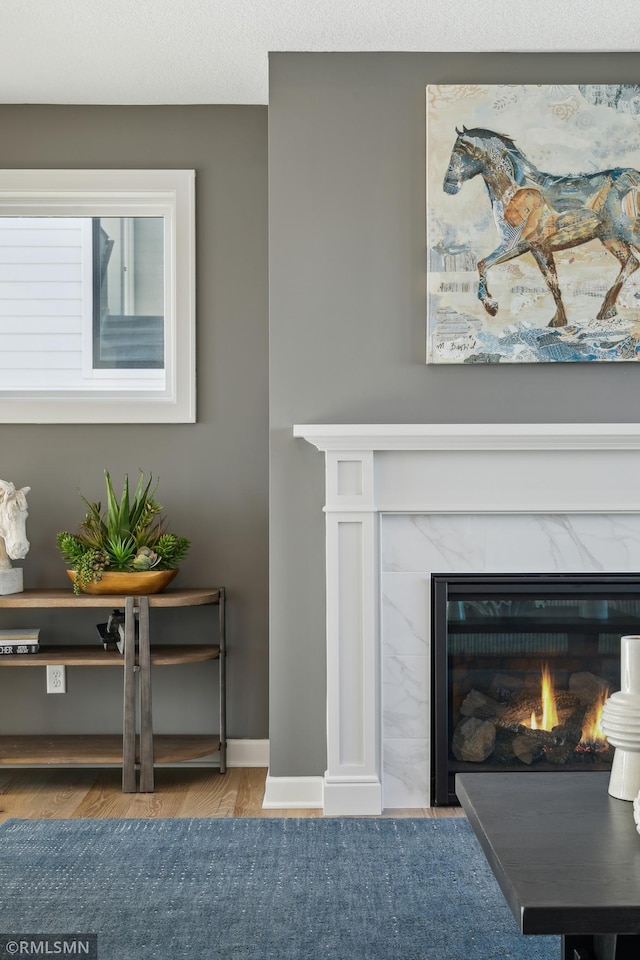 details featuring hardwood / wood-style flooring and a fireplace