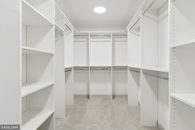 walk in closet featuring light colored carpet