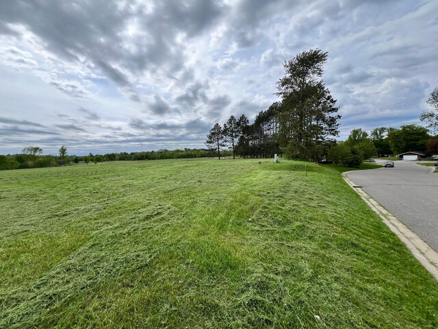 Lot7 Congdon, Coleraine, MN 55722 - photo 4