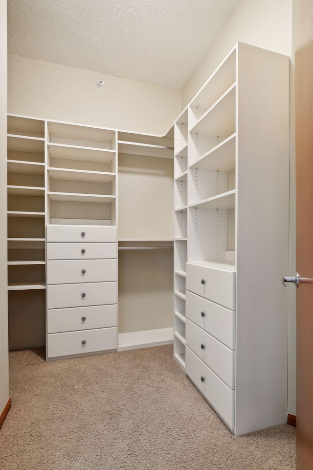 walk in closet featuring light carpet