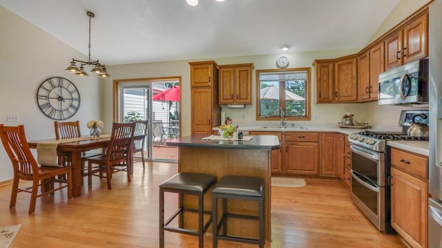 kitchen featuring a wealth of natural light, lofted ceiling, and stainless steel appliances