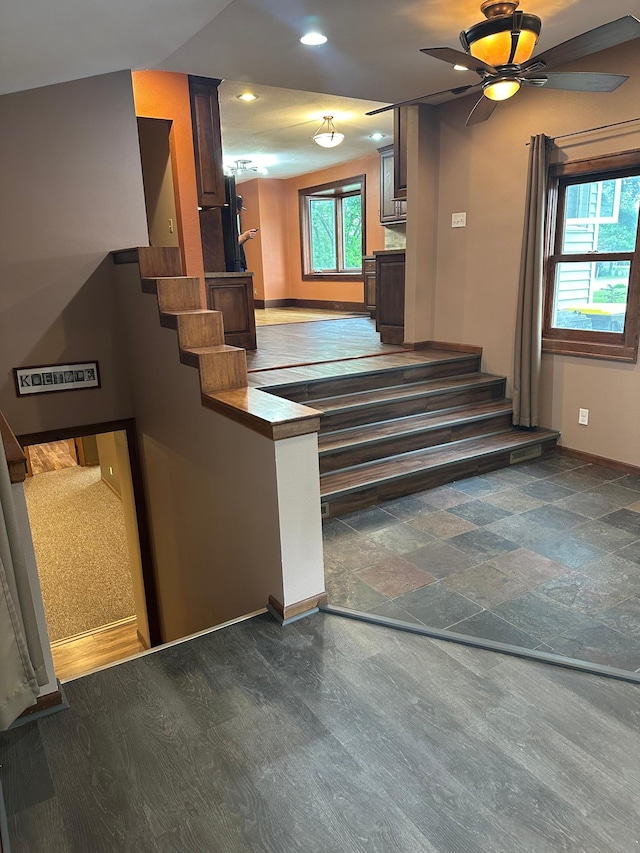 kitchen with ceiling fan and dark hardwood / wood-style floors