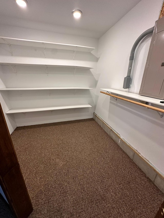 walk in closet featuring dark colored carpet