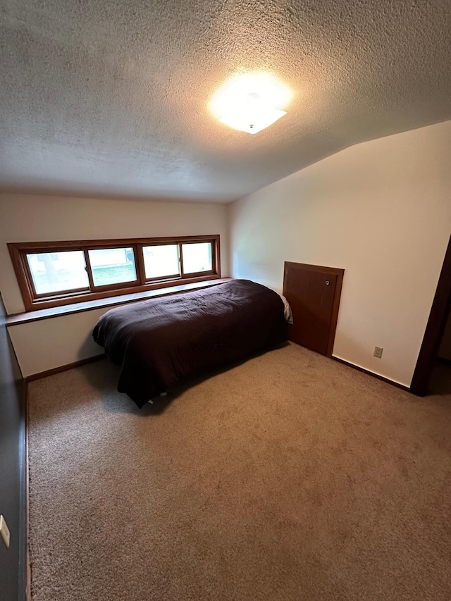 921 11th St N, Mountain Lake, MN 56159 - carpeted bedroom featuring a textured ceiling, vaulted ceiling, and baseboards