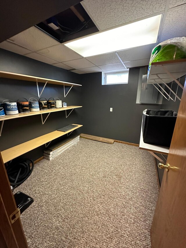 interior space with carpet and a drop ceiling