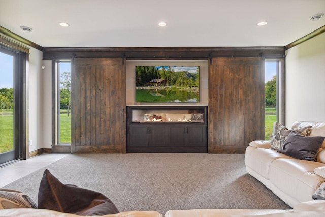 living room with a barn door and a wealth of natural light