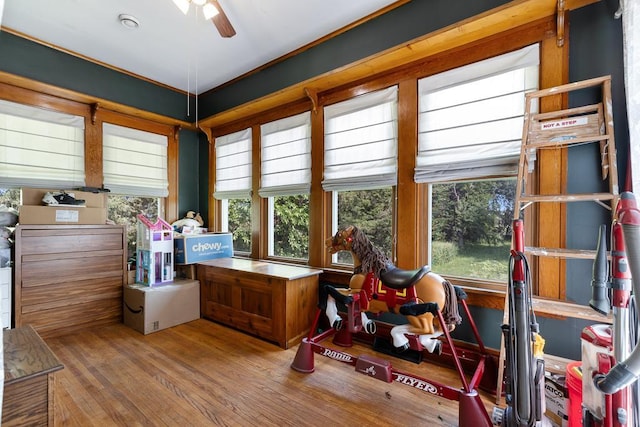 sunroom featuring ceiling fan and a healthy amount of sunlight