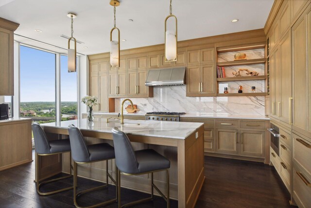 kitchen featuring ventilation hood, sink, pendant lighting, dark hardwood / wood-style floors, and an island with sink