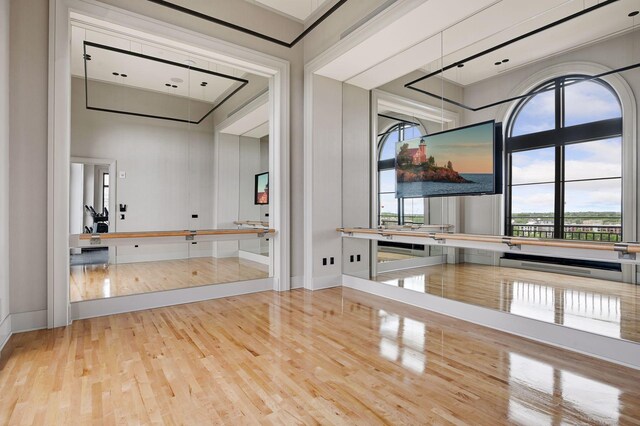 interior space featuring light hardwood / wood-style floors and a healthy amount of sunlight