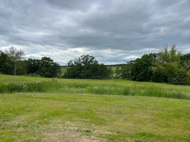 view of yard with a rural view