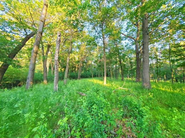 XXXLOT3 Chestnut St, Marine On Saint Croix MN, 55047 land for sale