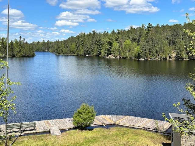 view of water feature