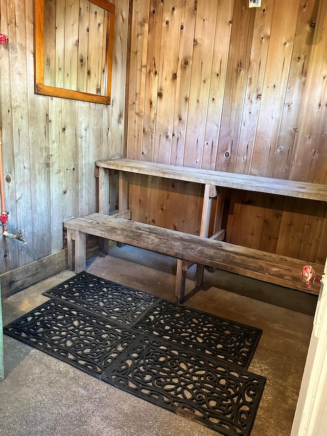 view of sauna with carpet floors and wood walls