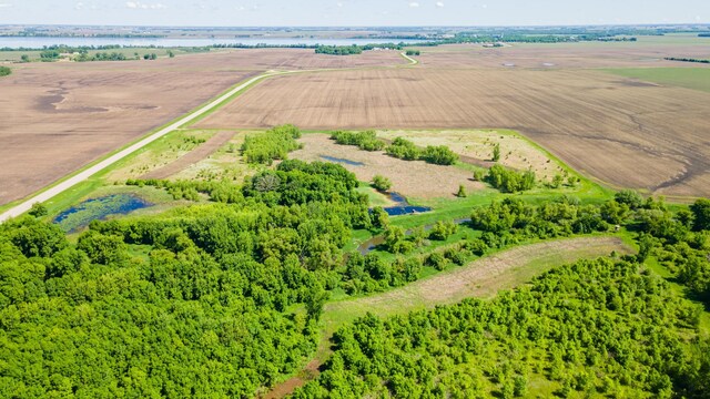 22376 510th Ave, Minnesota Lake Twp, MN 56068 - photo 51