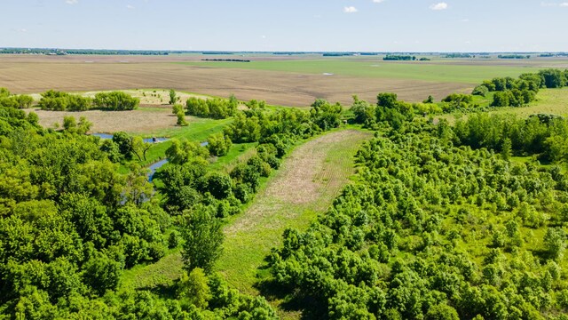 22376 510th Ave, Minnesota Lake Twp, MN 56068 - photo 52