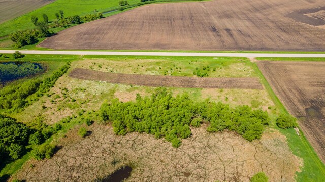 22376 510th Ave, Minnesota Lake Twp, MN 56068 - photo 55