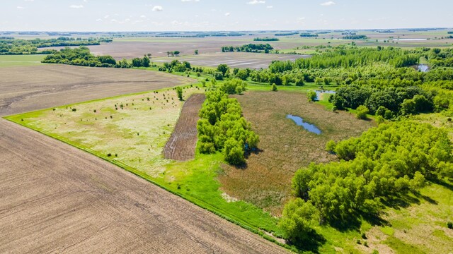 22376 510th Ave, Minnesota Lake Twp, MN 56068 - photo 58