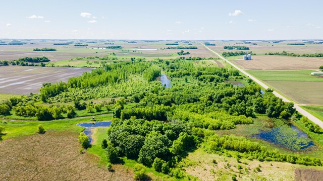 22376 510th Ave, Minnesota Lake Twp, MN 56068 - photo 59