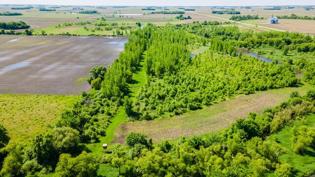 22376 510th Ave, Minnesota Lake Twp, MN 56068 - photo 61