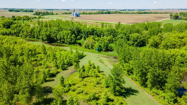 22376 510th Ave, Minnesota Lake Twp, MN 56068 - photo 66