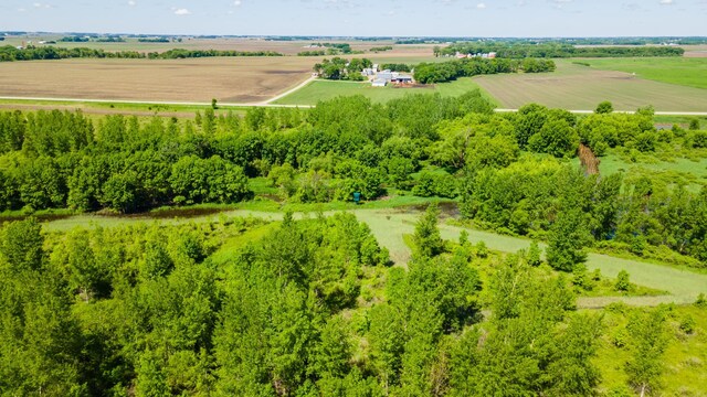 22376 510th Ave, Minnesota Lake Twp, MN 56068 - photo 68