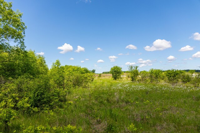 22376 510th Ave, Minnesota Lake Twp, MN 56068 - photo 9