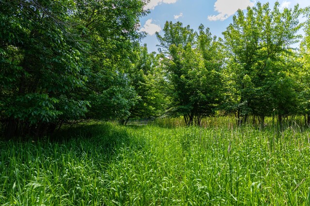 22376 510th Ave, Minnesota Lake Twp, MN 56068 - photo 12